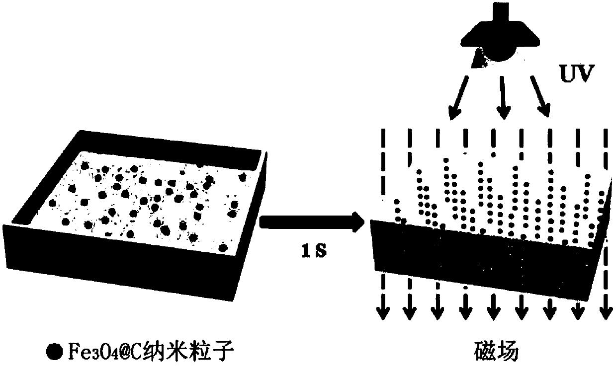 A kind of photonic crystal hydrogel film and its preparation and application