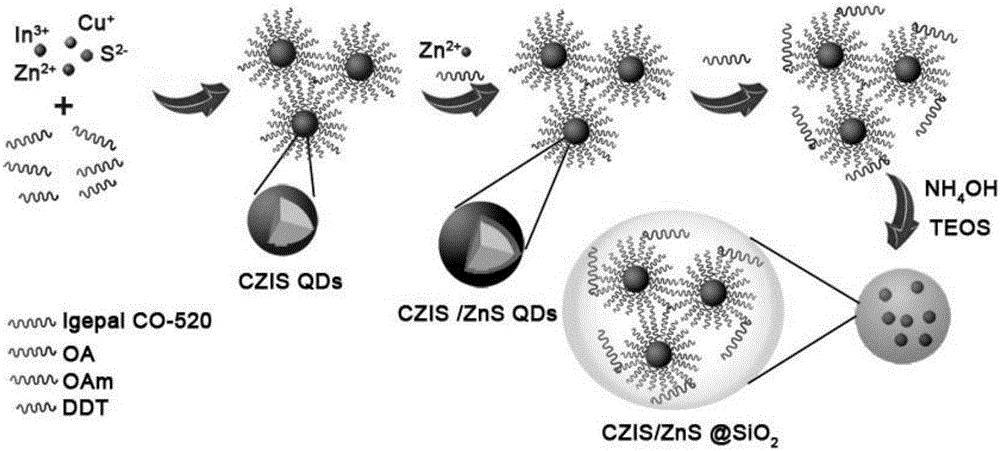 Method for preparing multi-quantum-dot core-silicon dioxide shell composite structure and application of structure to LED