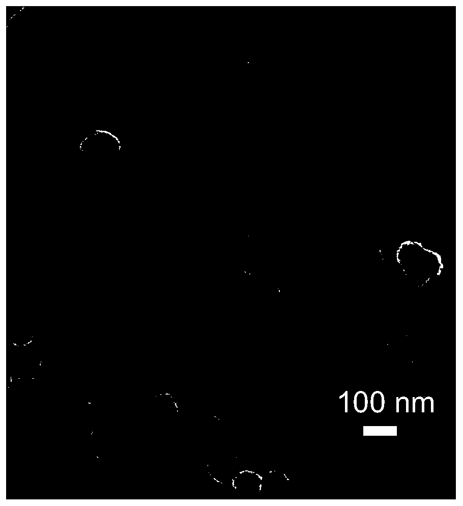 PtAg nanocrystal with porous double hollow sphere structure, preparation method and application thereof