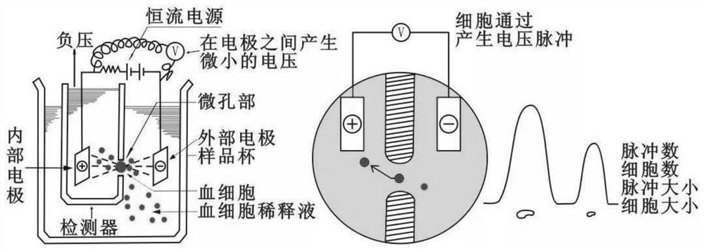 Impedance method detection system of blood cell analyzer and method for identifying hole blockage of impedance channel