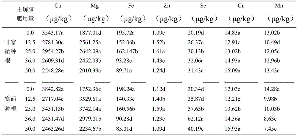 Selenium-rich planting method for radix codonopsis lanceolatae from Taishan mountain and special selenium-rich fertilizer