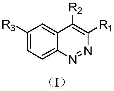 Cnoline compound PI3K kinase inhibitor as well as preparation method and application thereof in pharmacy