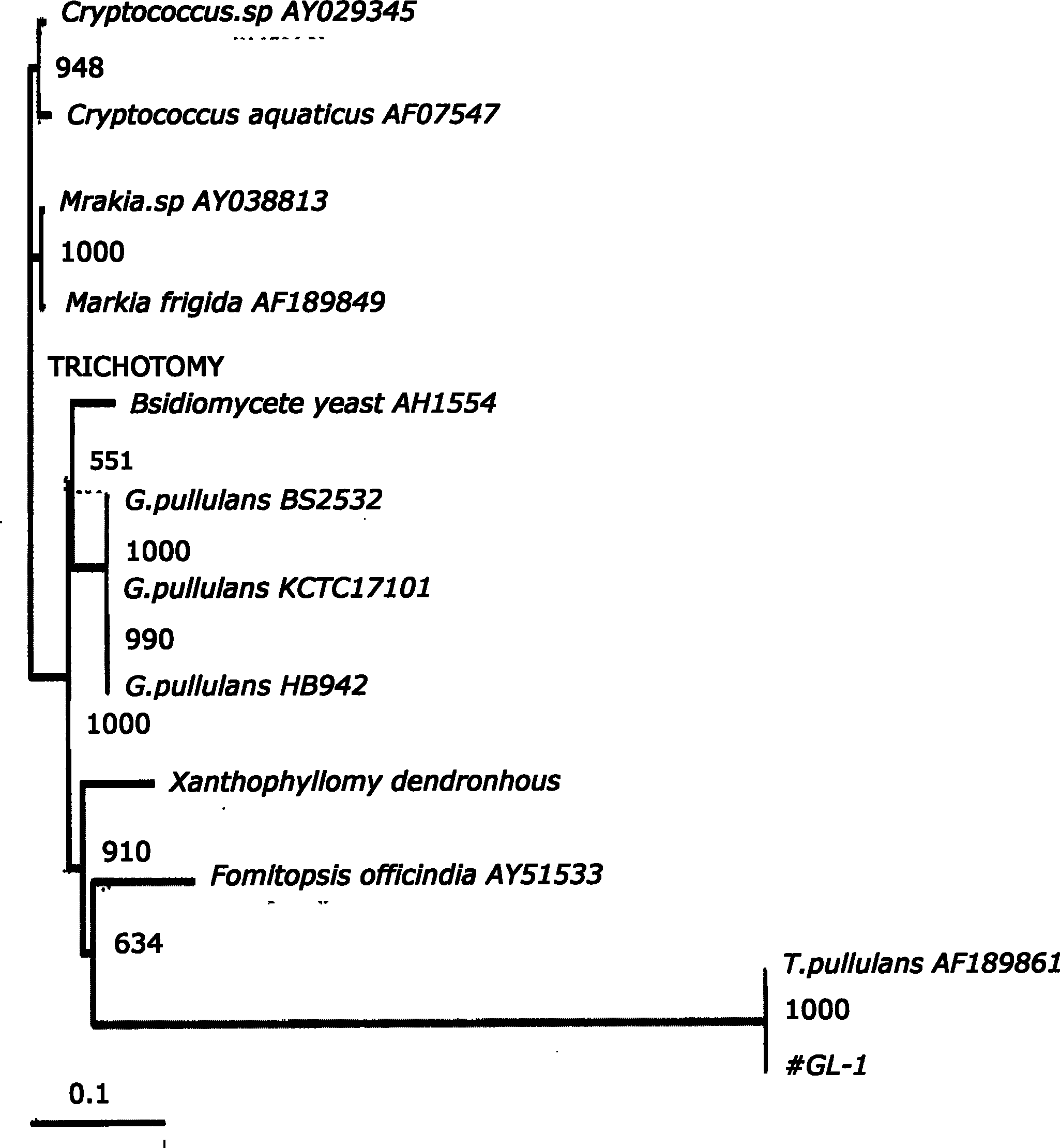 Low-temperature lipase mycopremna, low-temperature lipase and method of preparing the same