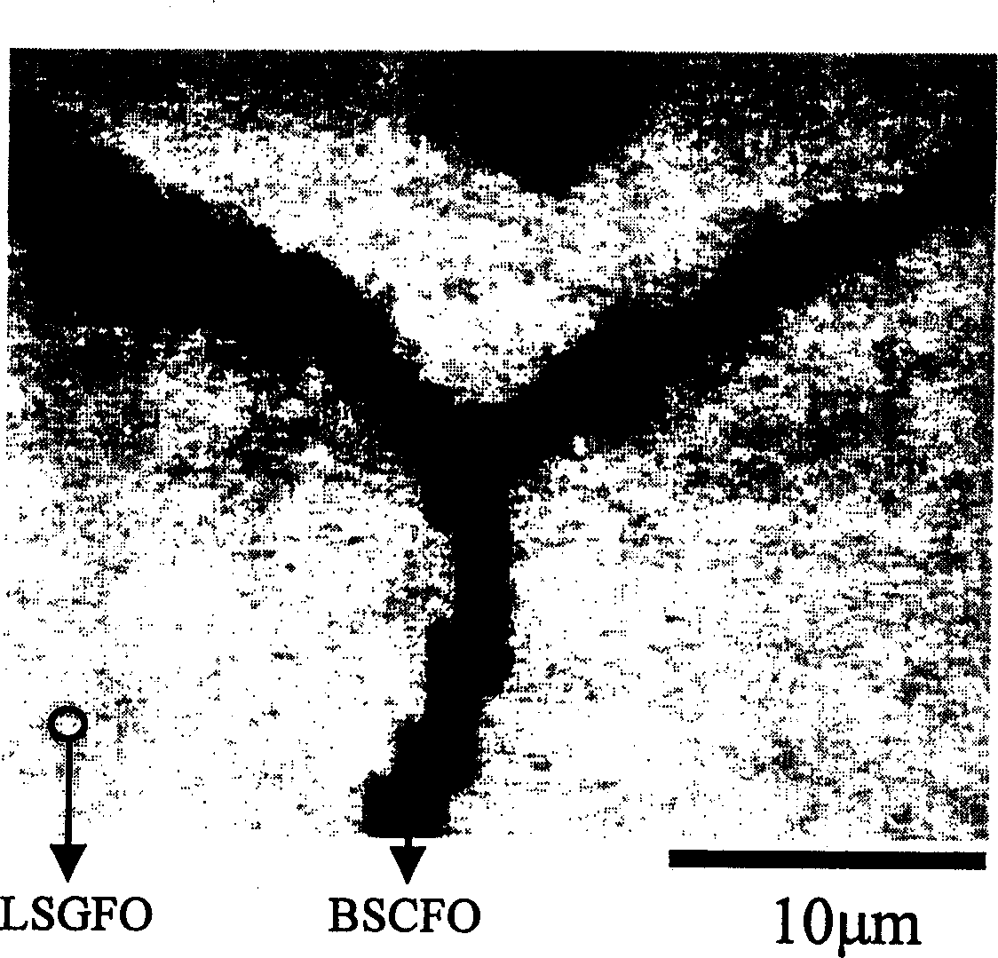 Two-phase mixed conductor oxygen-breathable film