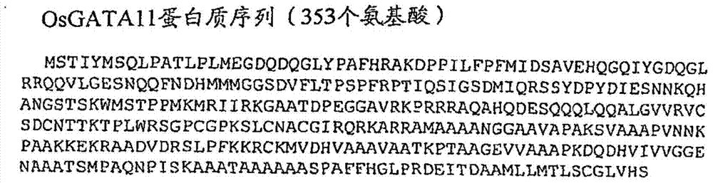 Nitrogen-regulated sugar sensing gene and protein and modulation thereof