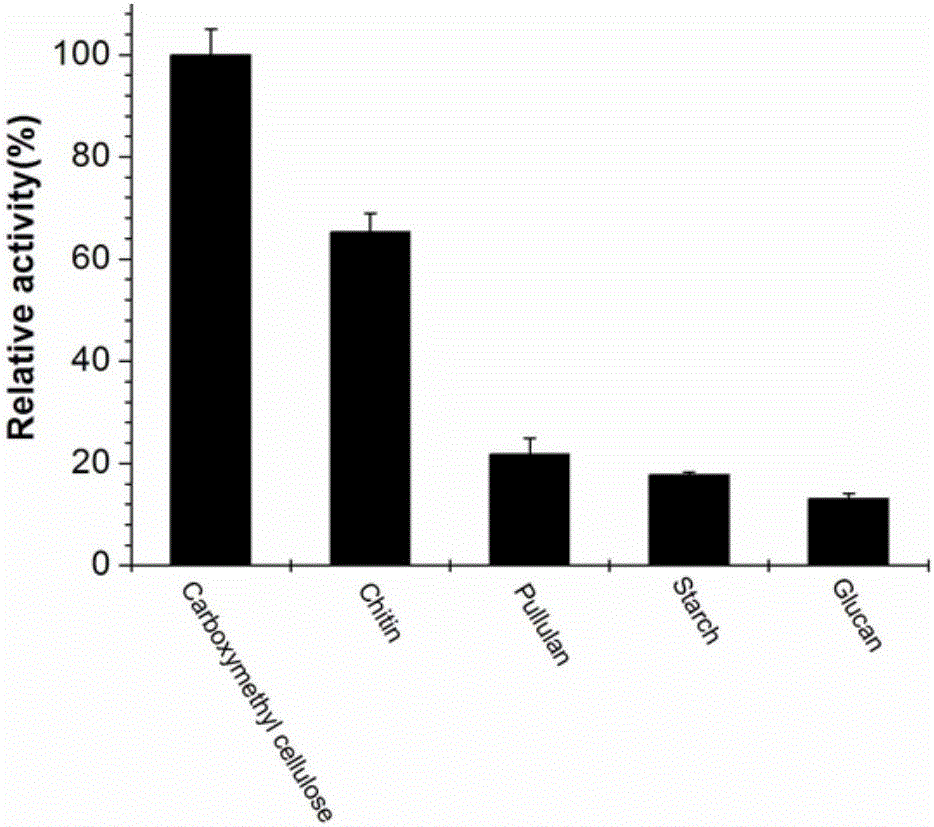 Polysaccharide hydrolase gene from pyrococcus horikoshii and application