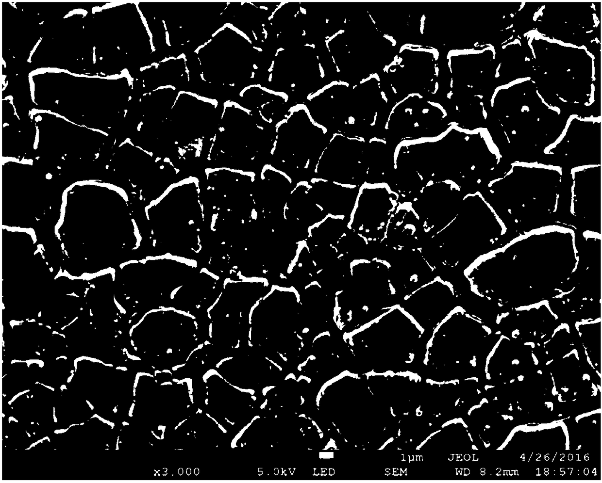 PbO2 electrode with long service life and high catalytic activity