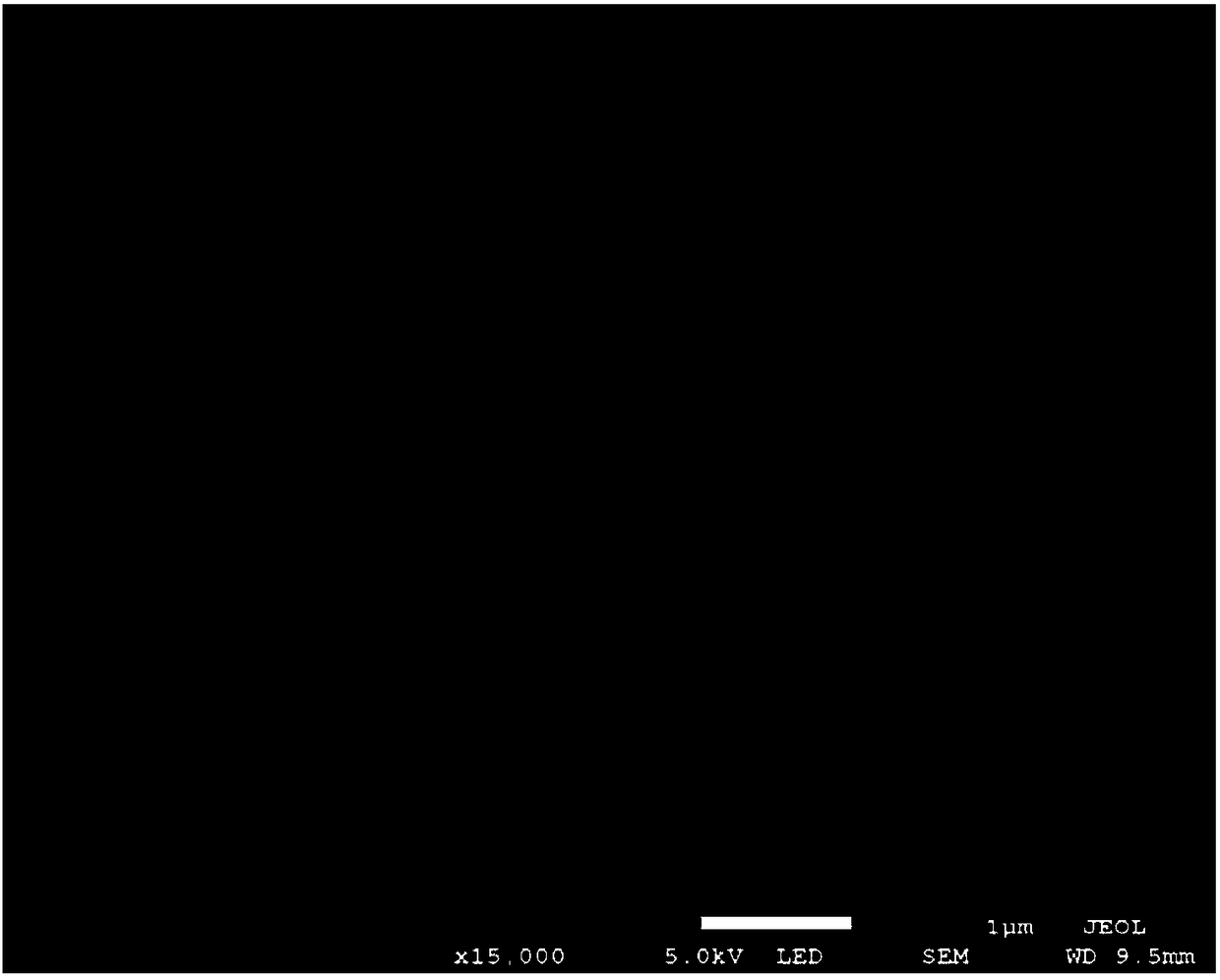 PbO2 electrode with long service life and high catalytic activity