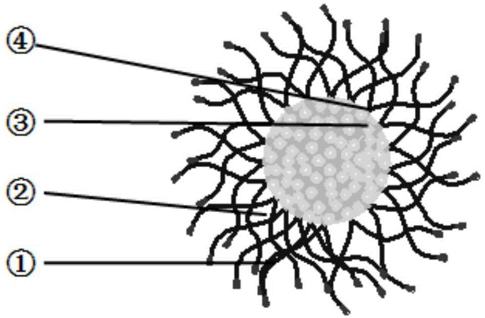 Novel anti-cancer polymer drug