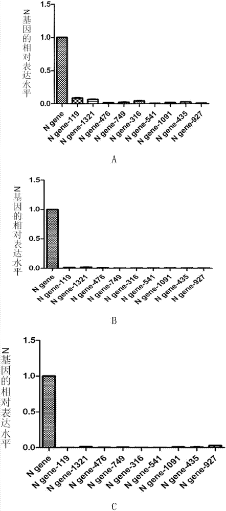 Oligomerization nucleic acid composition for preventing or treating canine distemper and application thereof