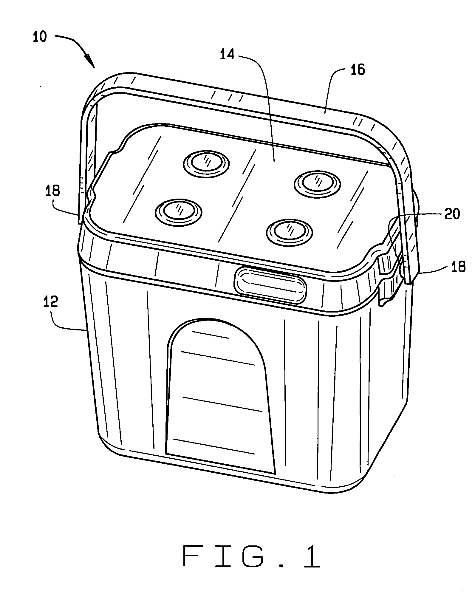 Insulated storage container having a removable liner