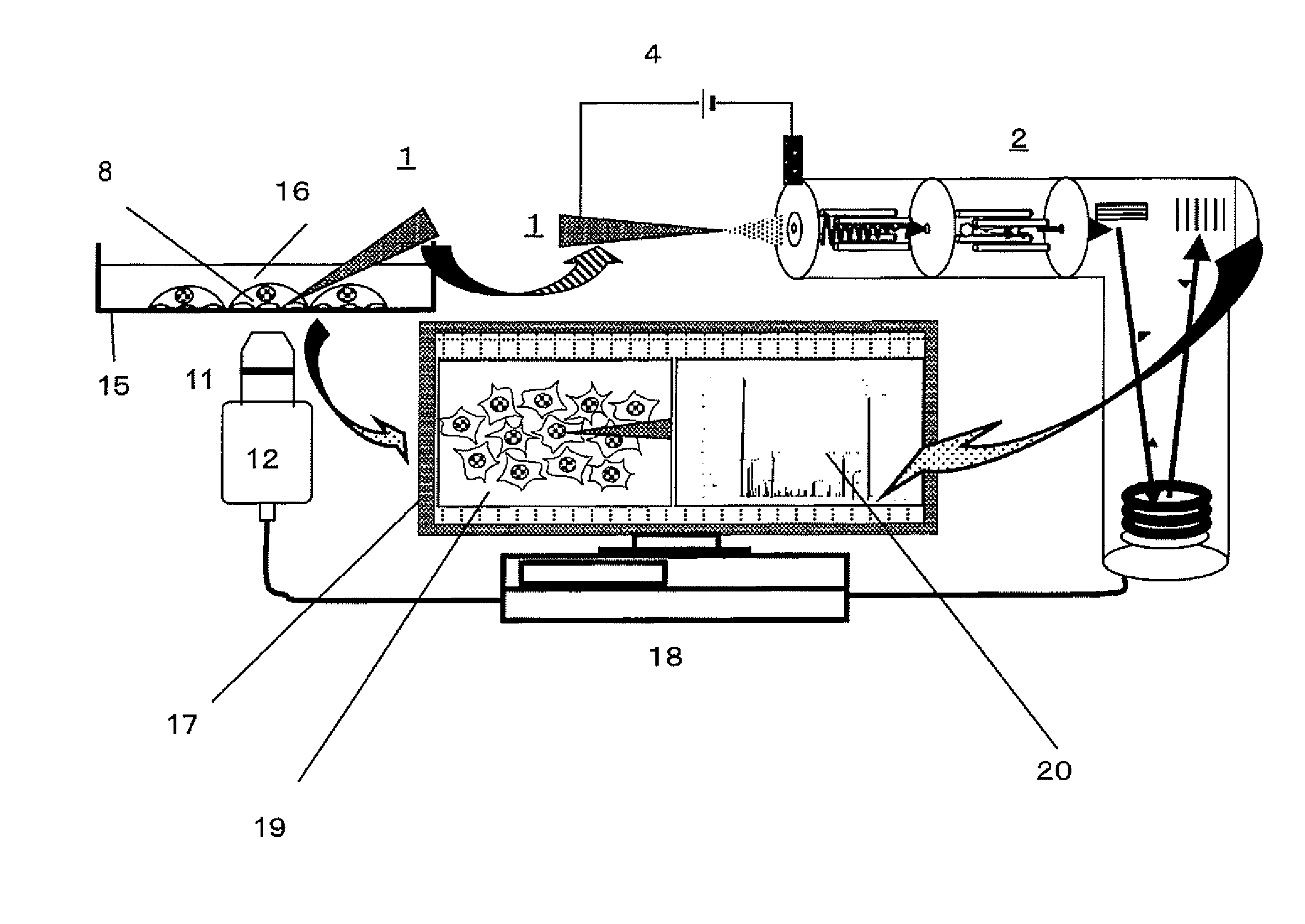 Capturing of cell fluid and analysis of its components under observation of cells and instruments for the cell fluid capturing and the analysis