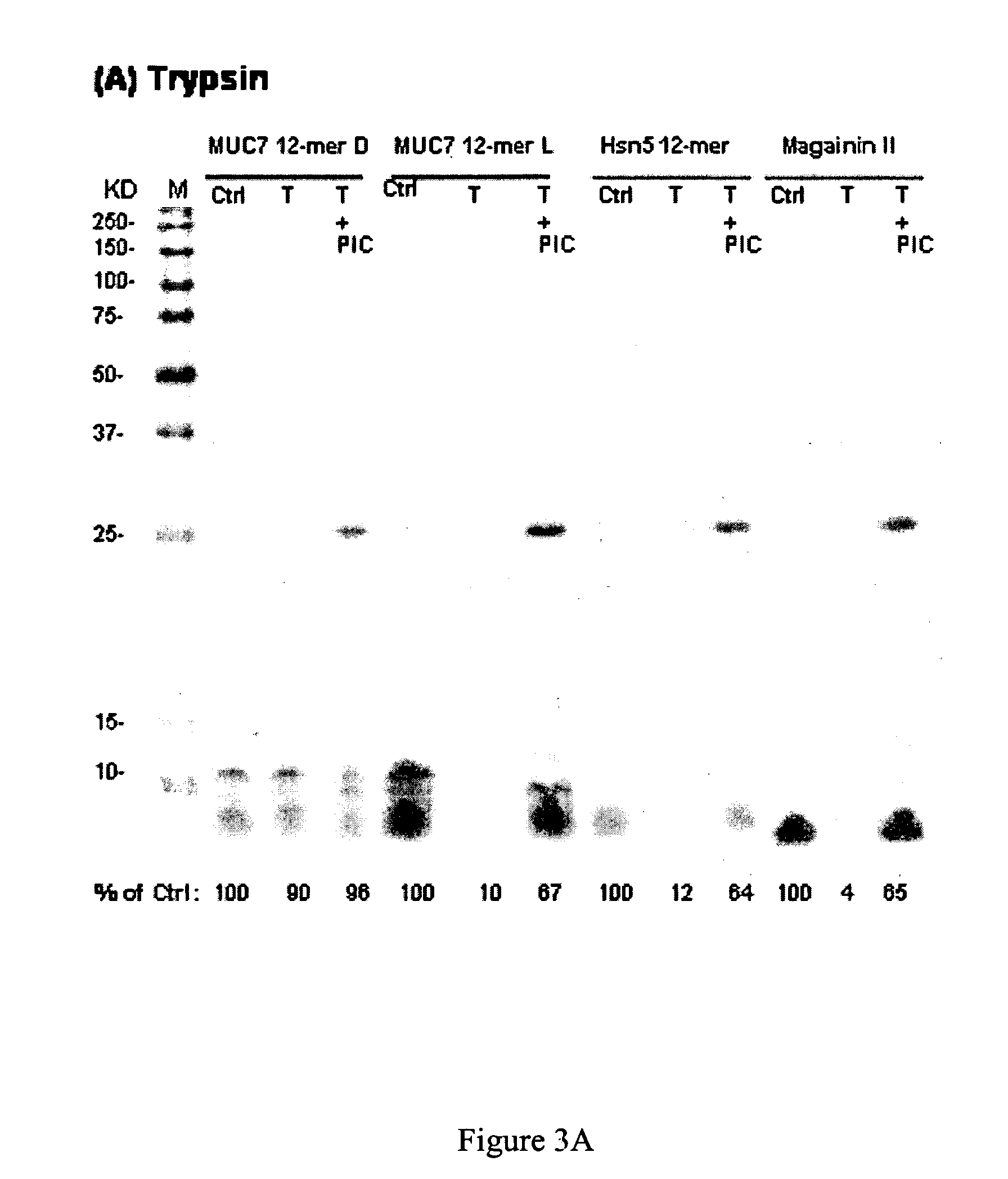 D-isomers of antimicrobial peptide