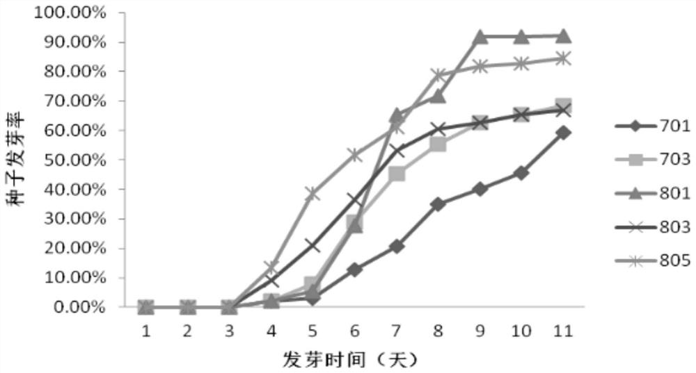 Initiator for improving beet seedling emergence effect and application method thereof