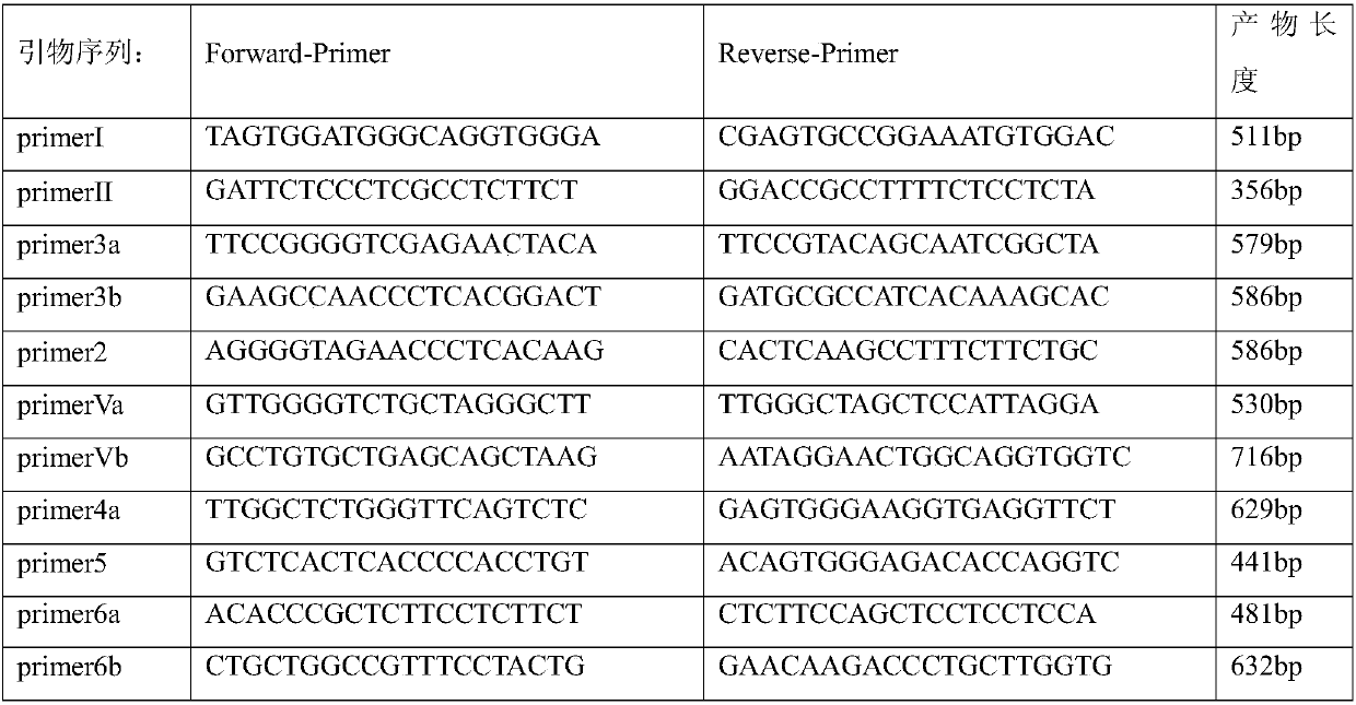 ARMC5 gene detection kit and mutation site