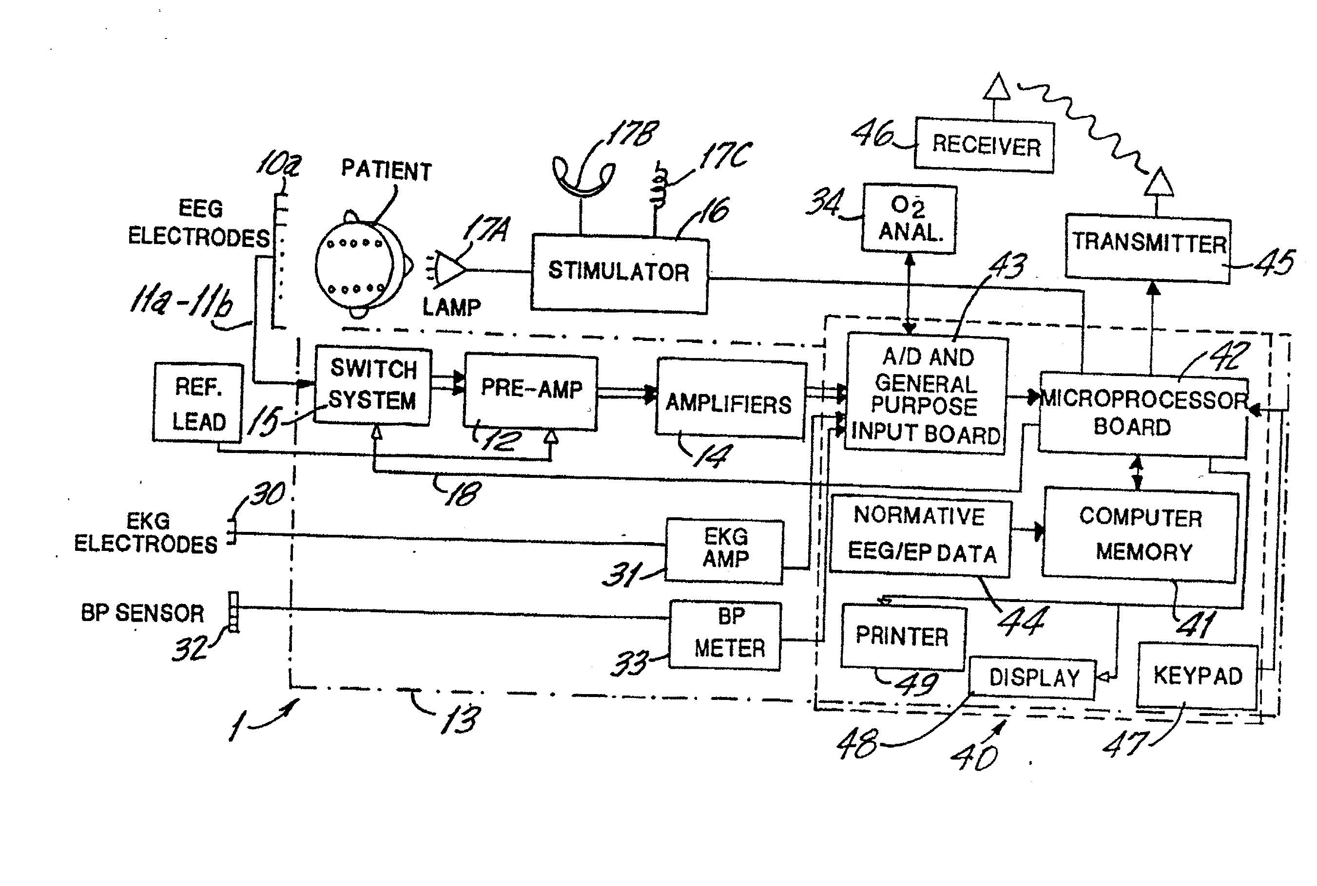 Brain Function Scan System