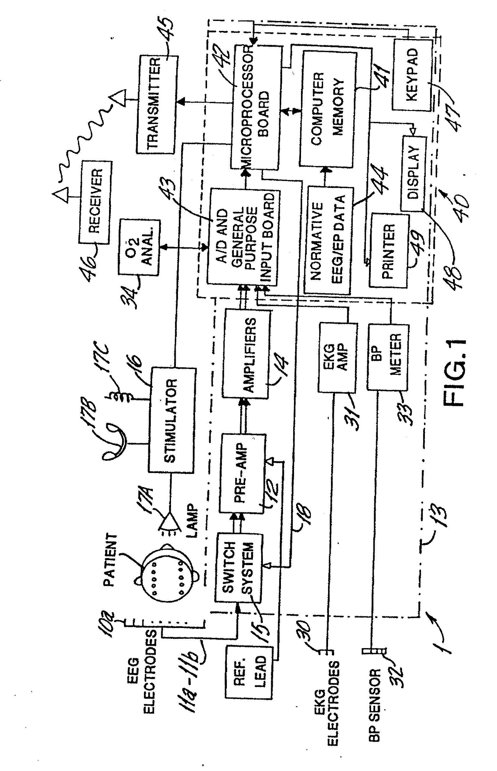 Brain Function Scan System