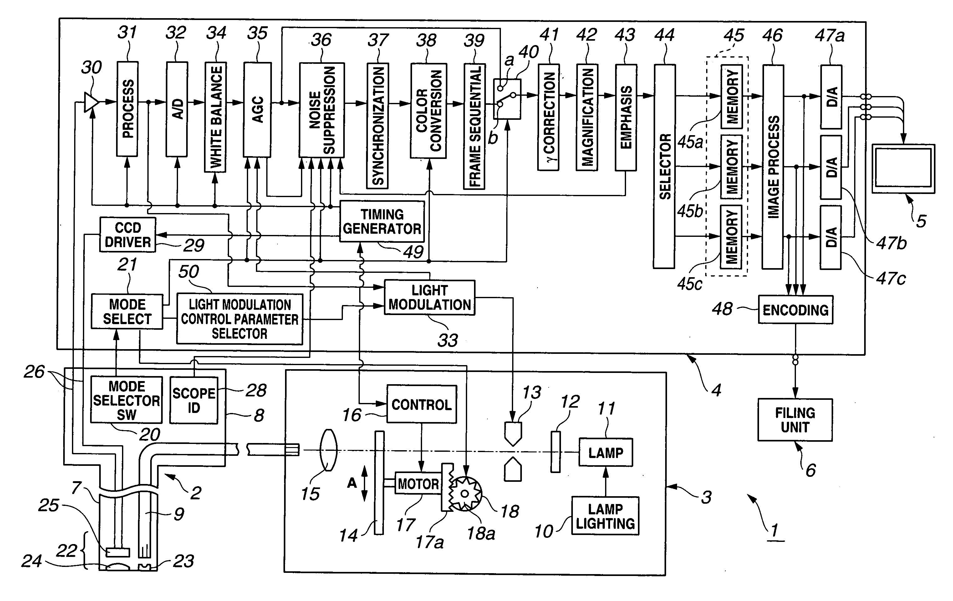 Image Processor and Endoscope Apparatus