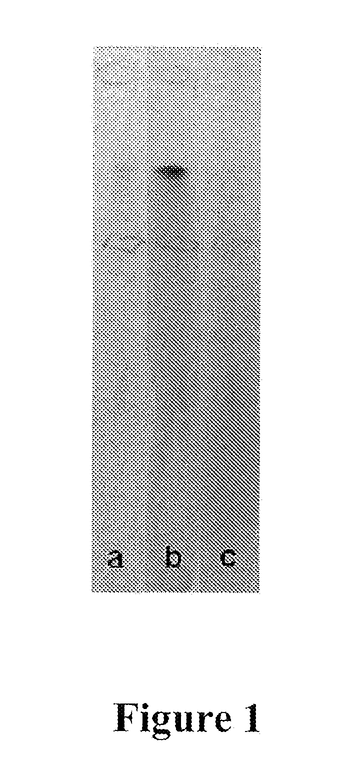 Ellagitannins as inhibitors of bacterial quorum sensing