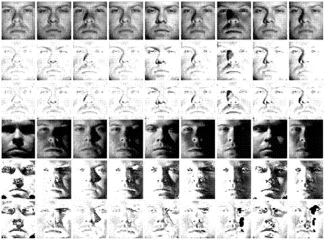 Face recognition method and base image synthesis method under illumination change conditions