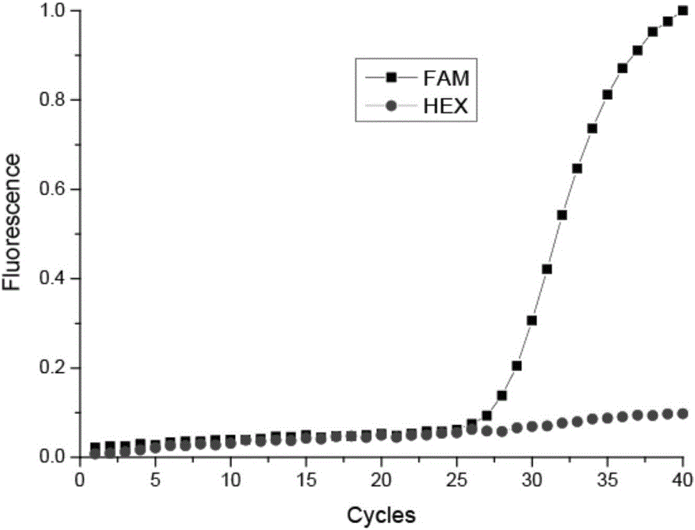 LRRK2 gene 1628 polymorphism detection kit