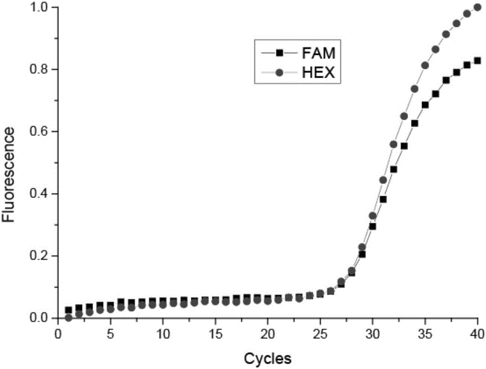 LRRK2 gene 1628 polymorphism detection kit