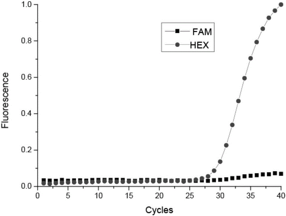 LRRK2 gene 1628 polymorphism detection kit