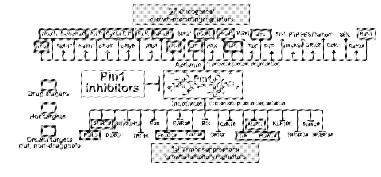 Enhanced atra-related compounds for the treatment of proliferative diseases, autoimmune diseases, and addiction conditions