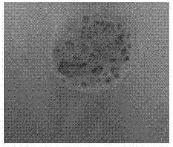 Emamectin benzoate effervescent tablets and preparation method thereof