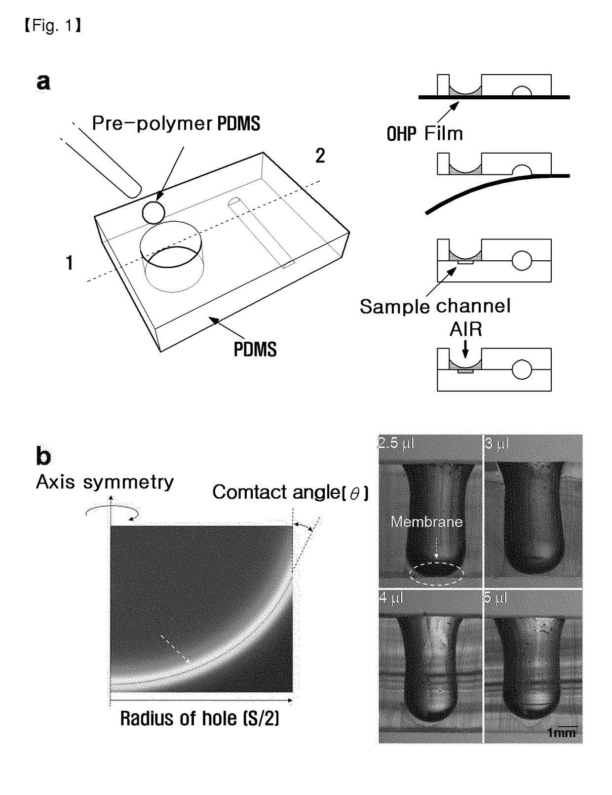 Microvalve using surface tension, microfluidic chip comprising same, and method for manufacturing same