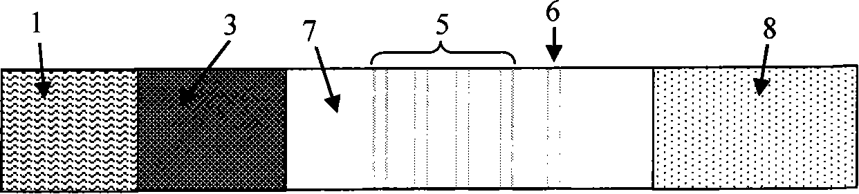 Colloidal gold chromatography semi-quantitative determination 2,4-D test paper and preparation method thereof