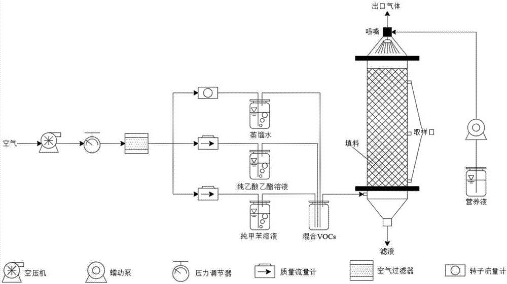 Method for reinforcing performance of bio-trickling filter in treatment of toluene waste gas