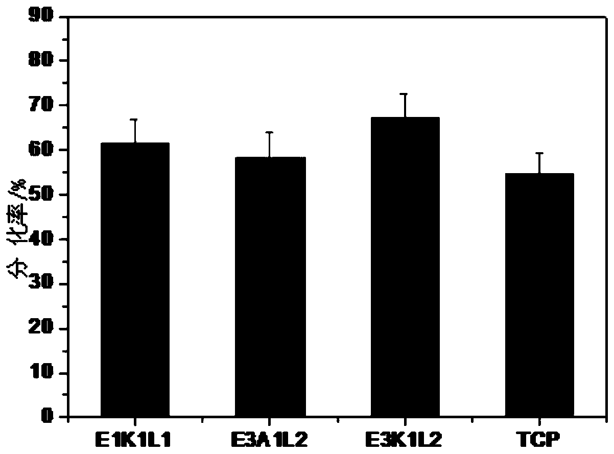 Preparation method and application of polymer coating for long-term culture of human adipose stem cells in vitro