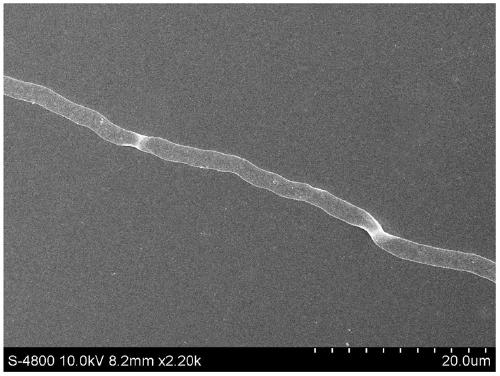 A kind of Aspergillus niger strain and application thereof