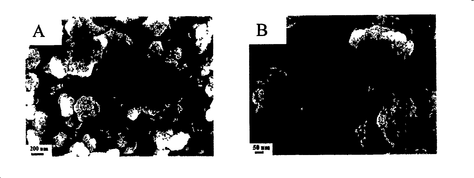 Method for preparing visible light catalyst of Nano crystal BiVO4 in high activity through ultrasound chemistry