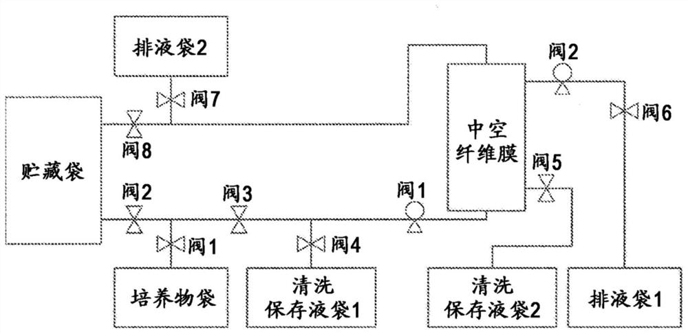 Storage liquid for mammalian cells