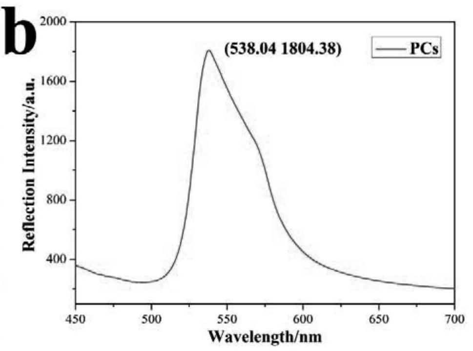 Photonic crystal sensing material for SEB ultra-sensitive detection, preparation method thereof and method for ultra-sensitive detection of SEB