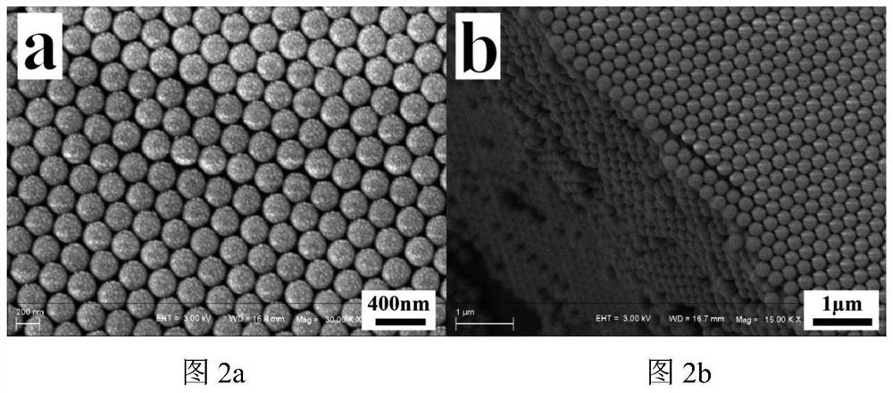 Photonic crystal sensing material for SEB ultra-sensitive detection, preparation method thereof and method for ultra-sensitive detection of SEB