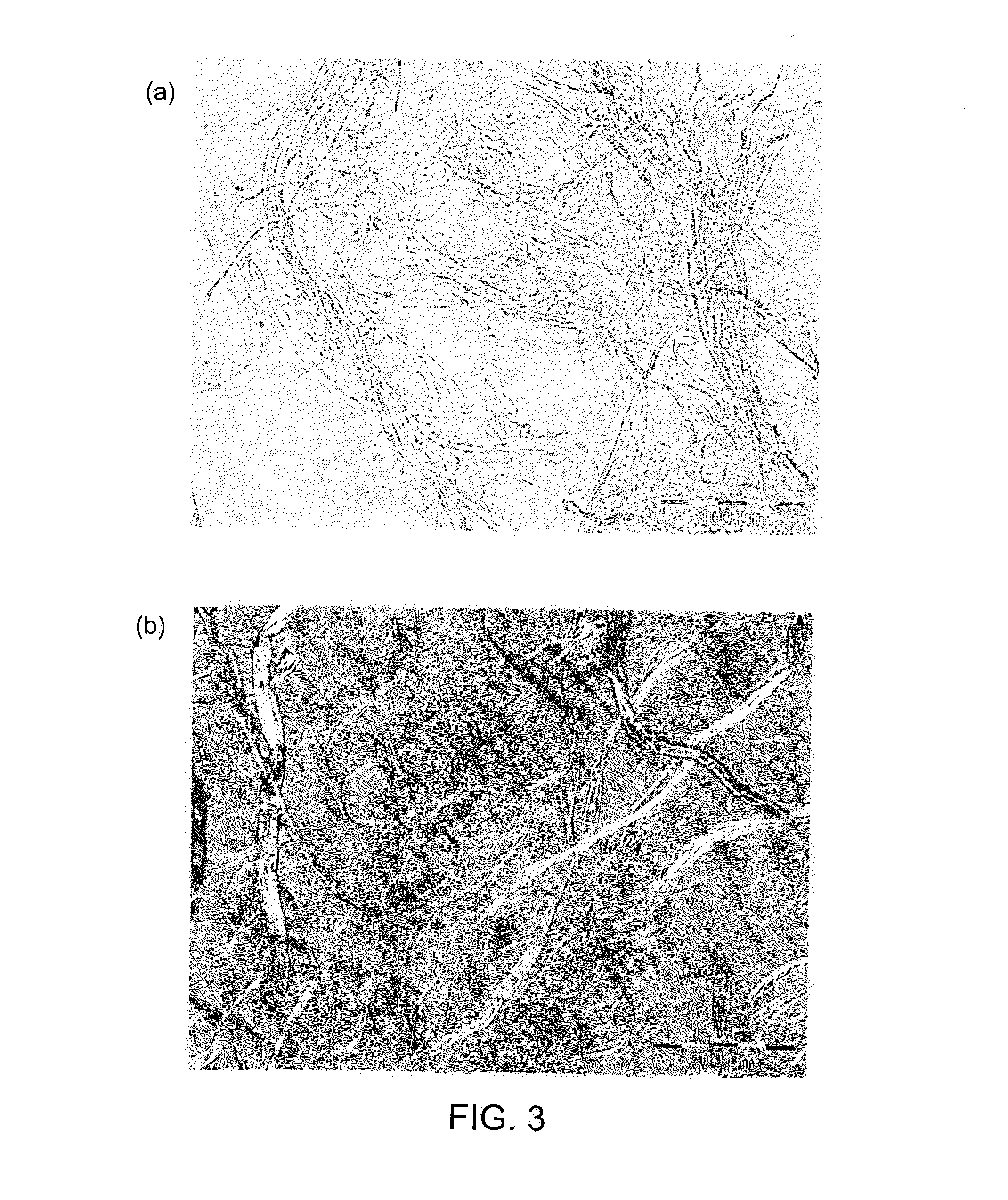 Method of producing microfibrillated cellulose