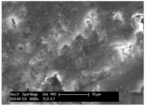 Concrete surface waterproof coating and preparation method and application thereof