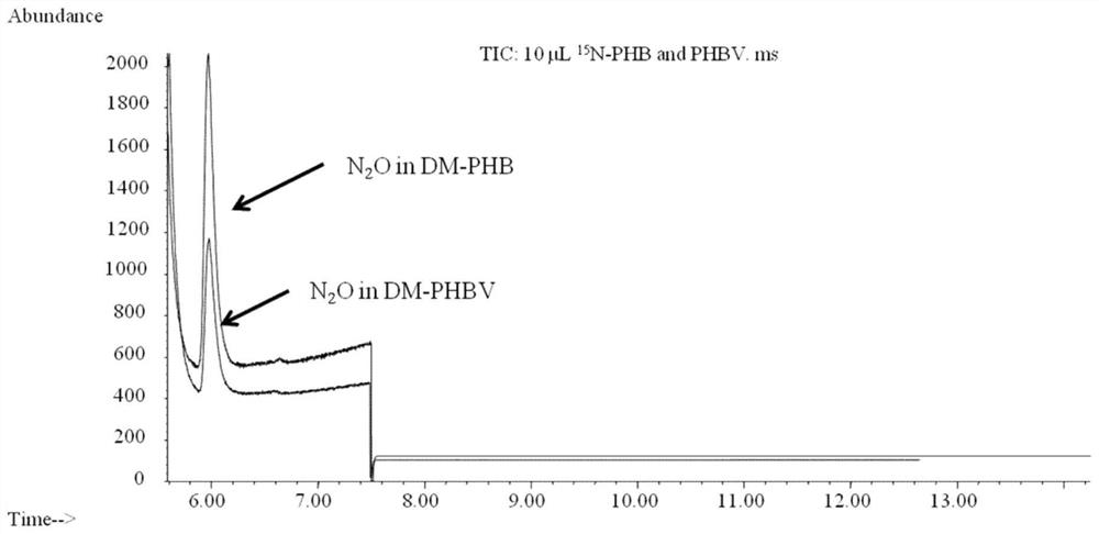 Aerobic denitrification preparation and its preparation method and application