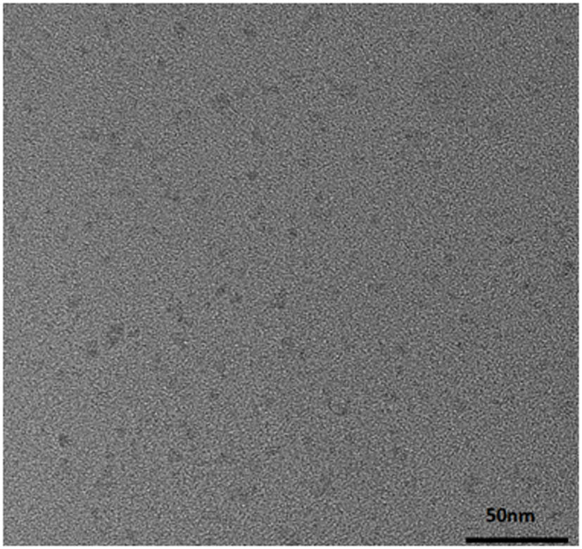 A biomedical silicone rubber with antibacterial properties