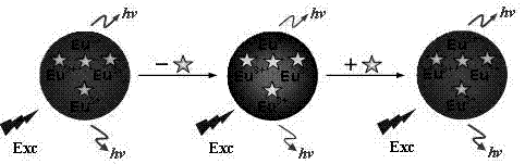 A eu for the detection of pesticide residues  <sup>3+</sup> Preparation method of labeled molecularly imprinted sensor