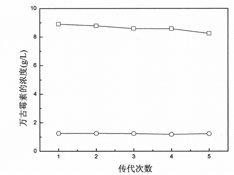 Ribosome resistance mutagenesis breeding vancomycin production bacterial strain and application thereof