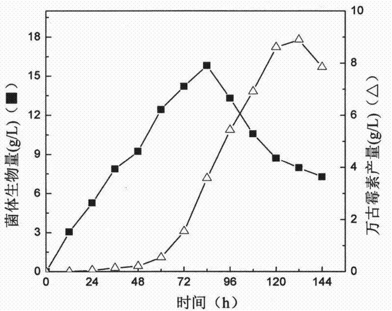 Ribosome resistance mutagenesis breeding vancomycin production bacterial strain and application thereof