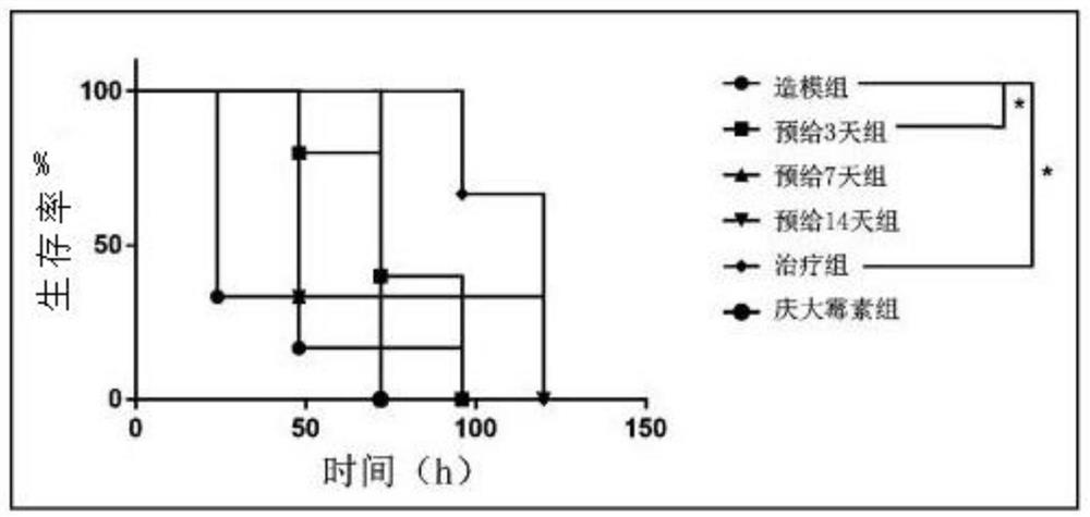 Application of a kind of glutathione in the preparation and prevention of central nervous system infection caused by Salmonella typhimurium