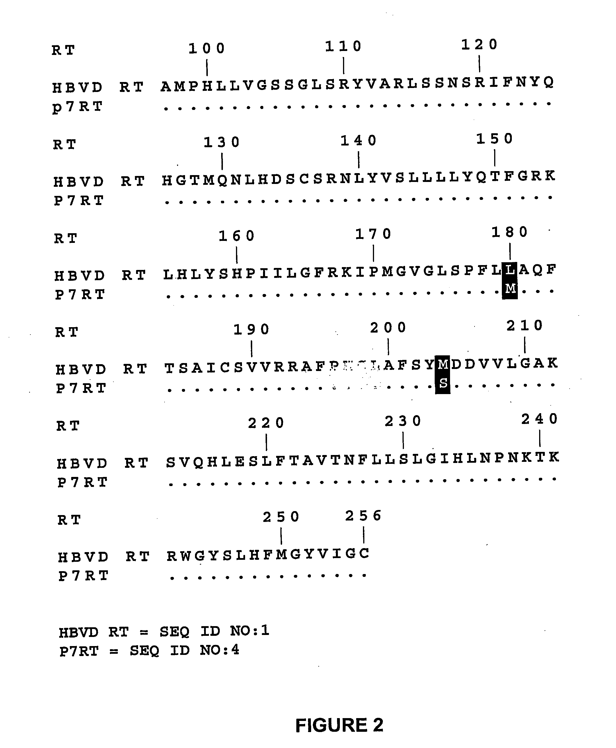 HBV drug resistance drug resistance detection methods