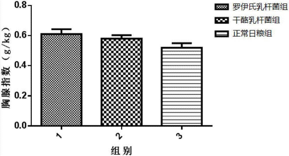 Genetic engineering subunit oral vaccine strain for preventing porcine epidemic diarrhea as well as construction method and application thereof