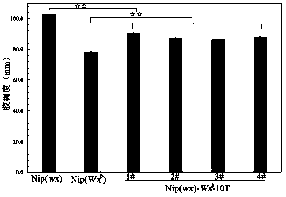 Construction of gene expression vector Wxb-10T, preparation of transgenic rice and primer