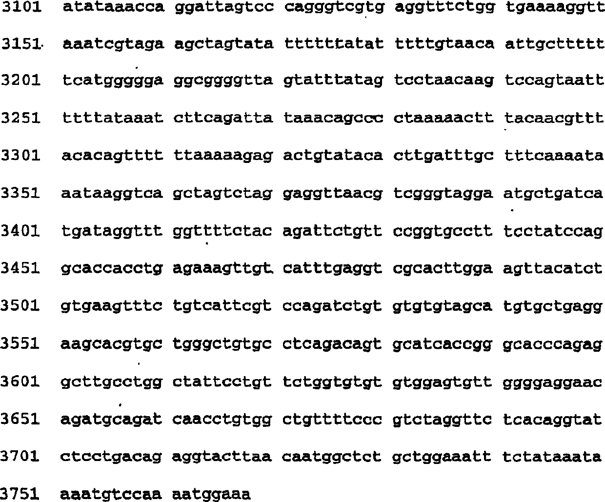 Novel alanine transaminase enzyme and methods of use